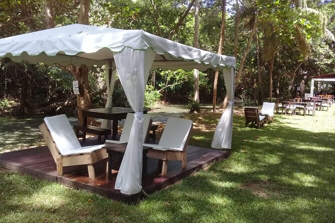 Blue Hole and Dunn’s River Falls Tour with Lunch and Cocktails at Reggae Hill - What to pack, wear, and keep safe