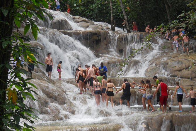 Blue Hole and Dunn’s River Falls Tour with Lunch and Cocktails at Reggae Hill - Who will enjoy this tour most