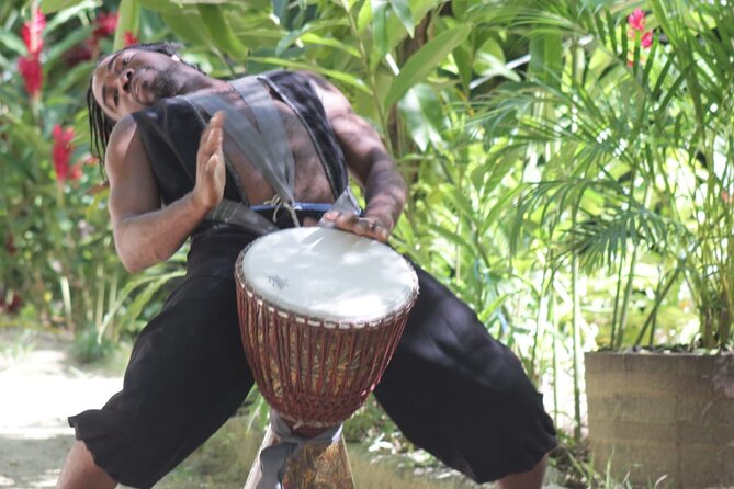 Blue Hole and Dunn’s River Falls Tour with Lunch and Cocktails at Reggae Hill - Cancellation and booking details
