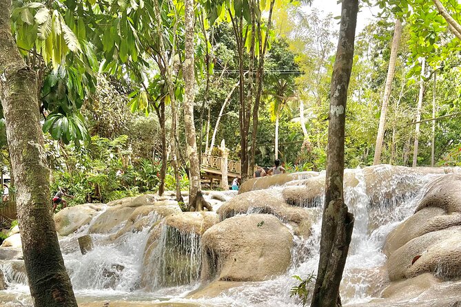 Blue Hole and Dunn's River Tour (Entrance Fees Not Included) - What the private format adds for $40