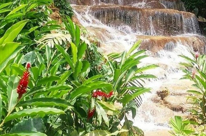 Blue Hole And Konoko Falls Combo Tour From Ocho Rios & Runaway Bay! - How the two stops work together