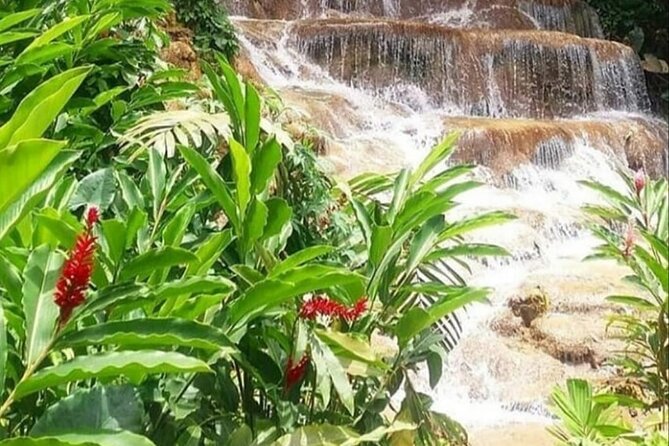 Blue Hole And Konoko Falls Combo Tour From Ocho Rios & Runaway Bay! - Booking details and cancellation flexibility