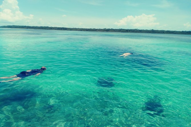 Blue hole, drift snorkeling, turtles Celebration Key is welcome - Why the drift snorkeling gets the most attention