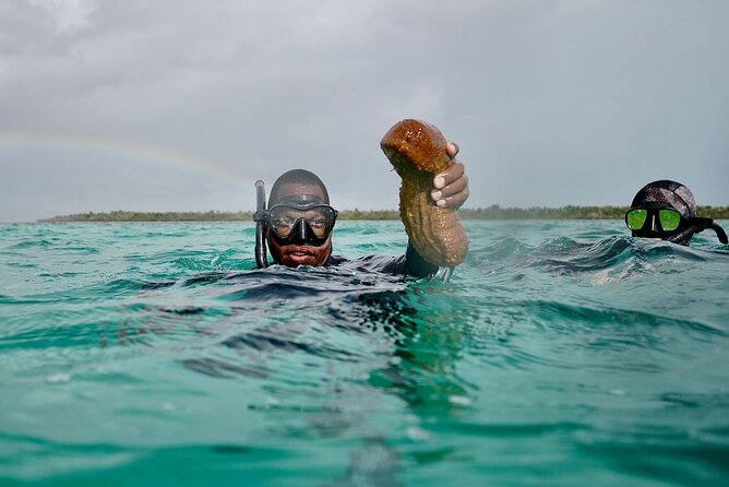 Blue hole, drift snorkeling, turtles Celebration Key is welcome - Guides who shape the day