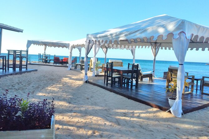 Blue Hole, Dunn's River Falls + Lunch & Cocktails at Bamboo Beach - Guides make a difference on an active day