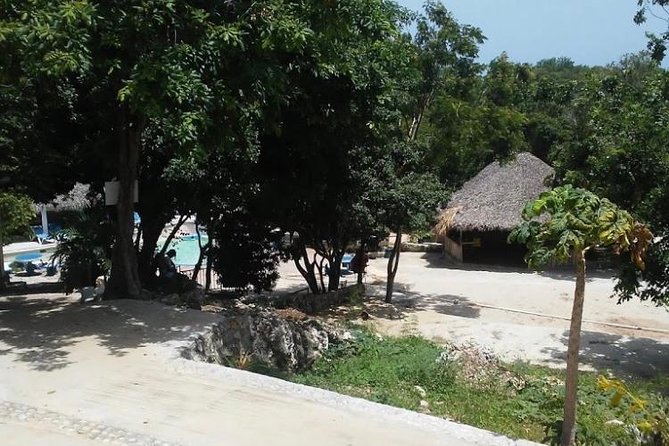 Blue Hole Mineral Spring and Ricks Cafe Private Tour - Two hours at Rick’s Cafe