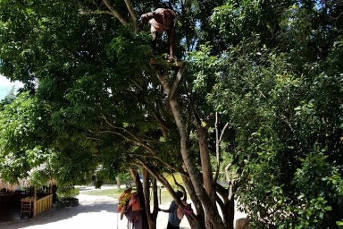 Blue Hole Mineral Spring and Ricks Cafe Private Tour - Who will enjoy this tour most?