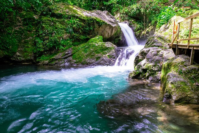 Blue Mountain Bicycle Tour - A full day beyond Ocho Rios
