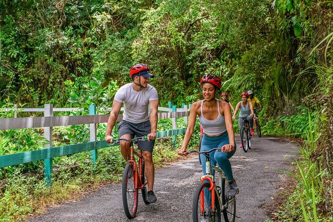 Blue Mountain Bicycle Tour - Lunch, local flavor, and a quick schedule