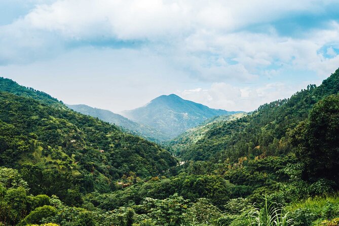 Blue Mountain Bicycle Tour - Who should book this experience?