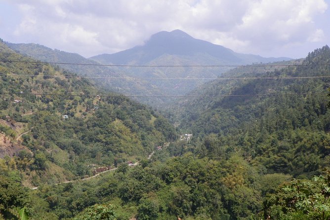 Blue Mountain Tour with Hotel Transportation - Key points to know before you book
