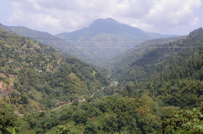Blue Mountain Tour with Hotel Transportation - How private is the private tour?