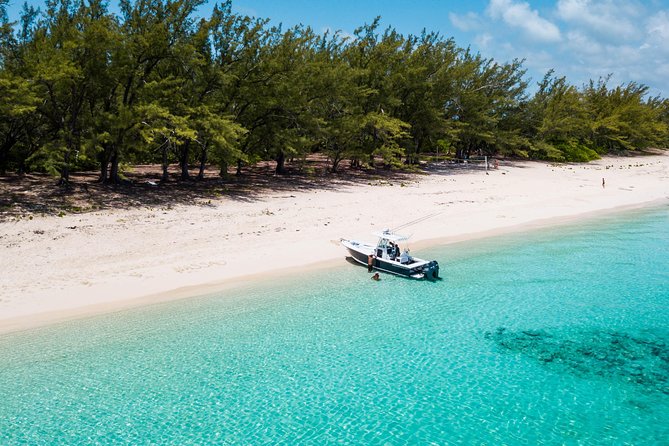 Bluefinn242 Swim with the Turtles in Nassau Bahamas - The boat ride is part sightseeing, part thrill ride