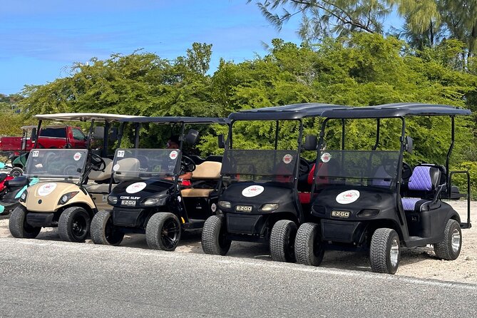 BMC Rentals -Golf Carts & Jeep Wrangler in Grand Turks - Who will enjoy this rental most