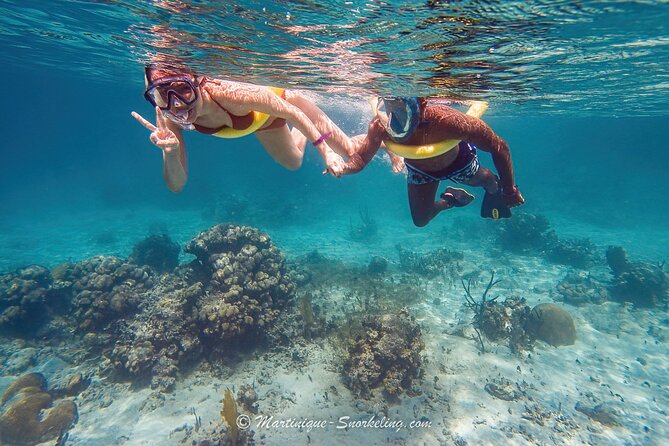 Boat Trip for Snorkeling Discovery of Corals - A guided walk across the surface