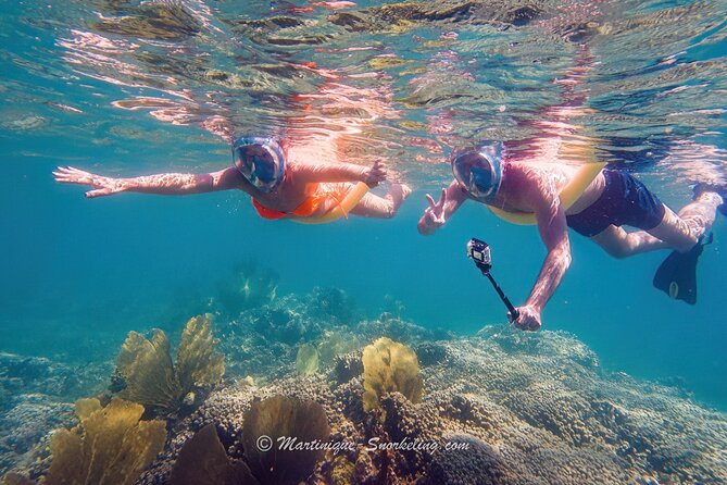 Boat Trip for Snorkeling Discovery of Corals - Is $59.67 a fair price?