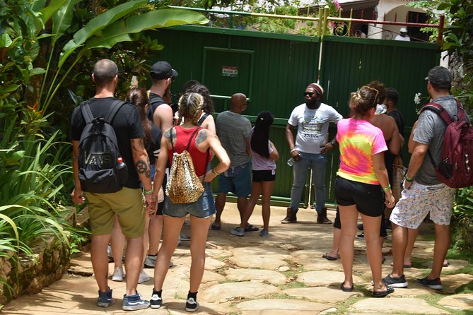 Bob Marley's Nine Mile Admission and Guided Tour from Montego Bay - The ride from Montego Bay to the mountain village