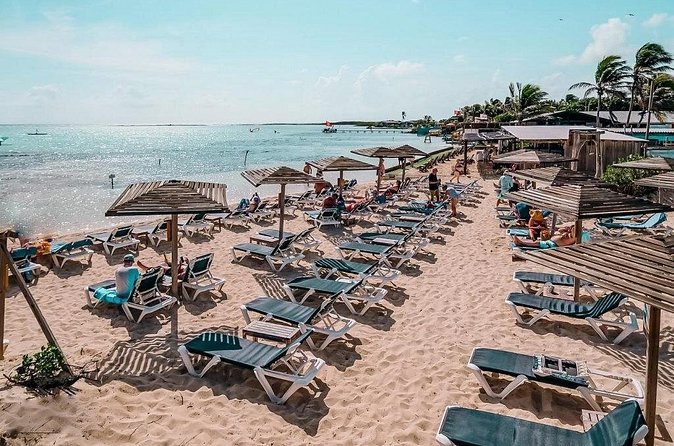Bonaire 2 hour Island Tour & 2 hour Beach Stay - Who should book this outing?