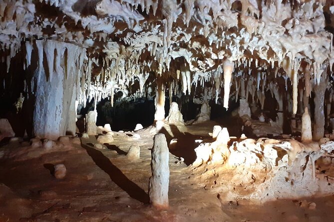 Bonaire Cave Tour: Walk, Climb & Swim - Key points to know before booking