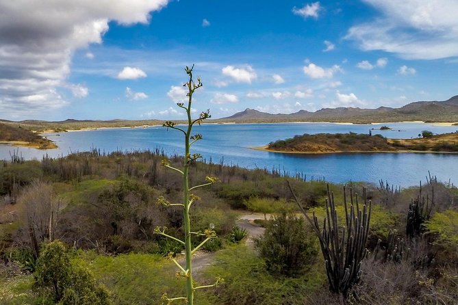 Bonaire Essentials Island Tour - Sorobon Beach is beautiful, but know what you are getting