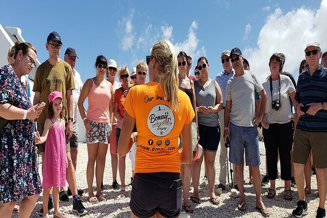 Bonaire Essentials Island Tour - Timing needs more care than the brochure suggests