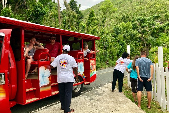 Book Your Private Two and a Half Hour Island Tour today! - Why this private St. John tour works so well