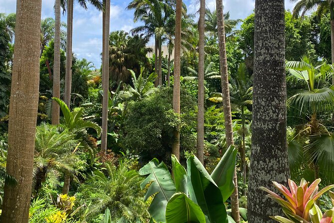 Breathtaking Wonders - Harrisons Cave and Hunte's Gardens - Two very different sides of Barbados in five hours