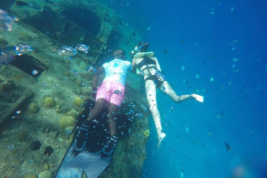 Bridgetown: Carlisle Bay Turtle and Shipwreck Boat Cruise - Snorkeling above the shipwrecks