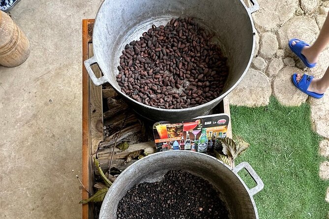 Buggy Adventure Tour with Chocolate and Coffee in Punta Cana - What the $45 Punta Cana Buggy Tour Really Includes