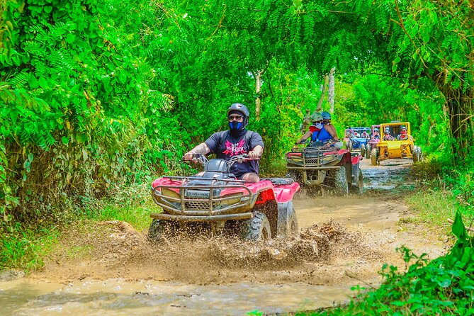 Buggy Ride Into the jungle with cave coffee & chocolate tasting - The sales stops and the question of authenticity