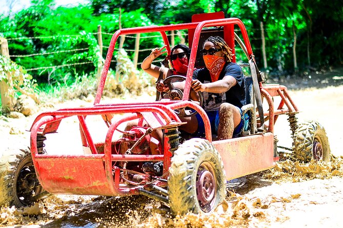 Buggy Tour to Macao Beach and Water Cave with Organic Farm - The organic farm, coffee, cacao, and tobacco