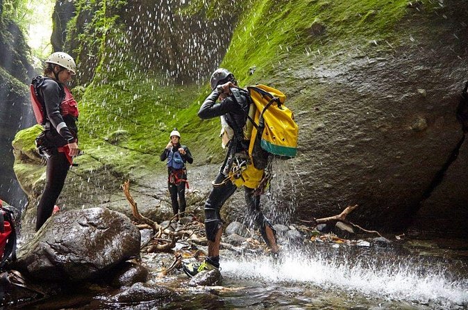 Canyon Experience in Dominica - The rainforest scenery between obstacles