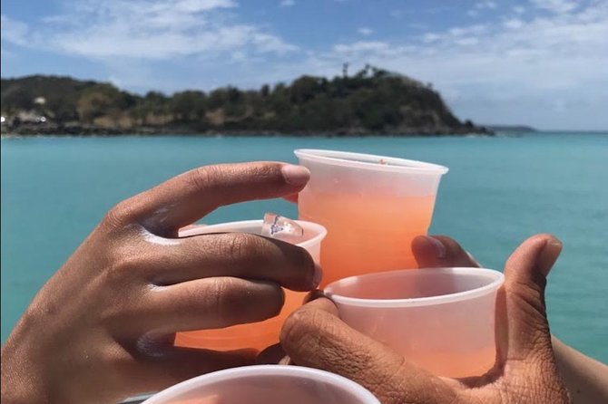CAPTAIN ALAN'S 4hr -3 Islands-snorkeling-turtles-beach ADVENTURE - Pinel Island: shallow water and a real break