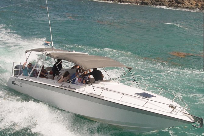 CAPTAIN ALAN'S 4hr -3 Islands-snorkeling-turtles-beach ADVENTURE - Tintamarre: turtles, sand, and open water