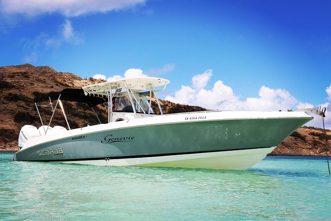 Captain Bob Speed Boat, Snorkeling, Beach Tour & Lunch St Maarten - Tintamarre Island: turtles, stingrays, and open water