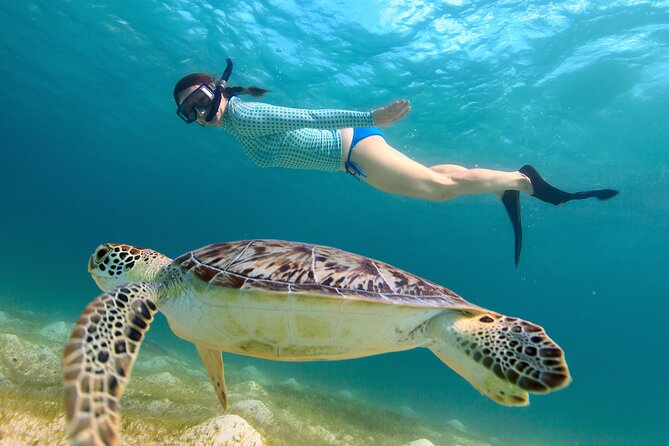 Cas Cay - Kayak Hike and Snorkel Adventure - Three St. Thomas activities around one small cay