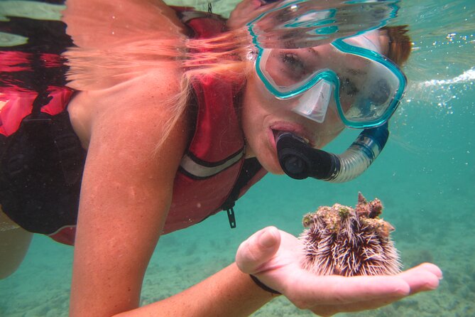 Cas Cay - Kayak Hike and Snorkel Adventure - Who will enjoy this most
