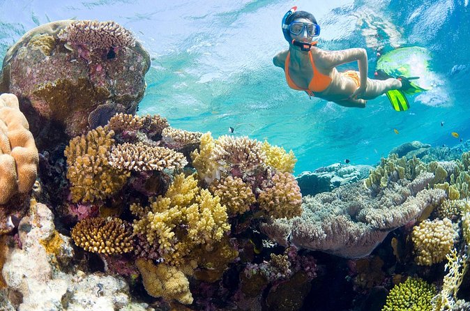 Catalina Island Snorkel Excursion from Punta Cana - Boarding the boat with snorkelers and scuba guests