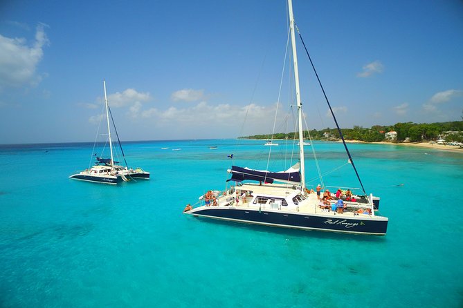Catamaran and Snorkeling Cruise At Carlisle Bay - Key points to know before you book
