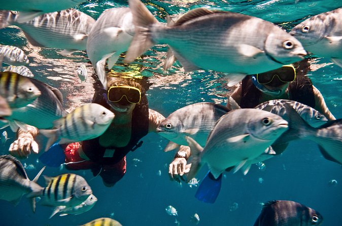 Catamaran and Snorkeling Cruise At Carlisle Bay - The crew and the character of the boat