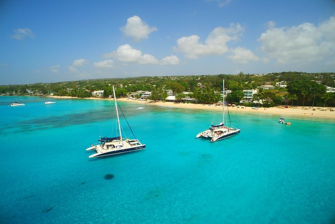 Catamaran and Snorkeling Cruise At Carlisle Bay - Swimming with turtles in clear Caribbean water