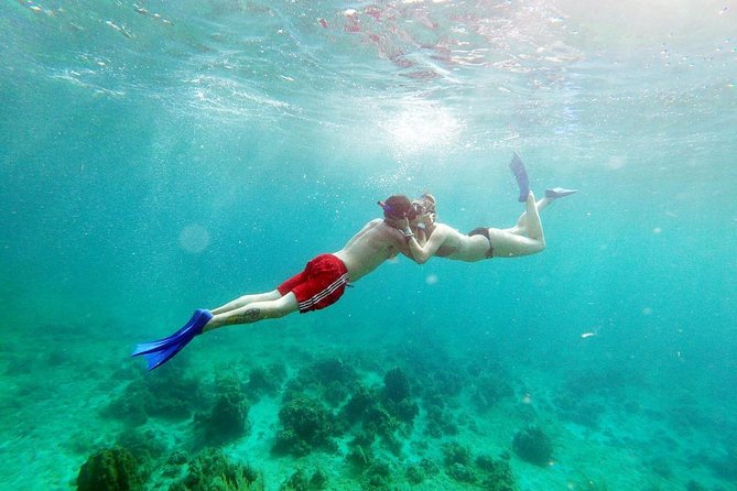 Catamaran Cruise Full Day Tour to Reef, Caves and Negril Beach - Reef snorkeling from the catamaran