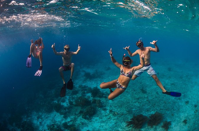 Catamaran Snorkel & BBQ Sail (cruise friendly) - What the $135 price really buys