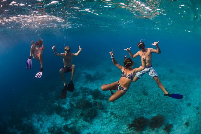 Catamaran Snorkel & BBQ Sail (cruise friendly) - Booking details worth knowing before you go