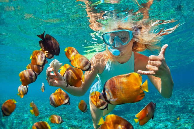 Catamaran Snorkeling All-Inclusive Day-Trip - Key points to know before you book