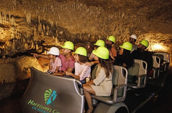 Cave & Monkey Zipline Experience at Harrison's Cave by Chukka - Food, lockers, and the practical details