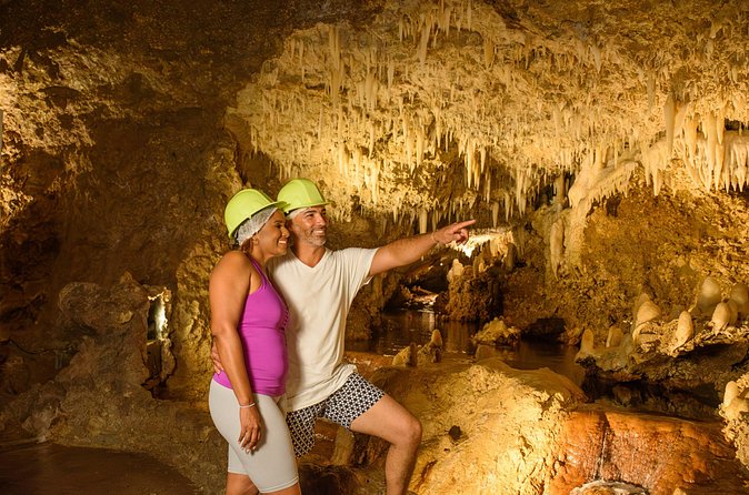 Cave & Monkey Zipline Experience at Harrison's Cave by Chukka - Meeting birds at the aviary