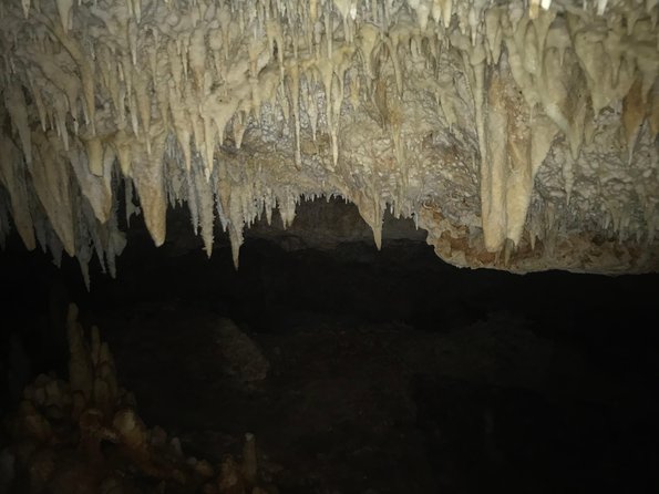Cave Tour with Local Guide - Who should book this Bonaire cave tour?