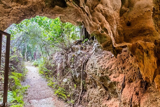 Cayman Crystal Caves Tour in Grand Cayman - Walking through the forest before the caves