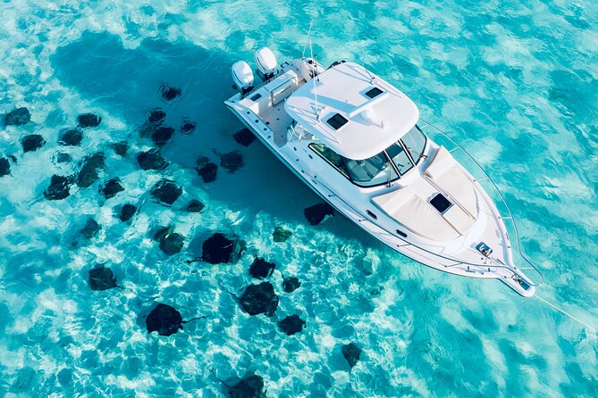 Cayman Private Luxury Charters - Stingray City, Snorkel, & More - Key points at a glance